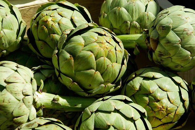 artichokes-759753_640
