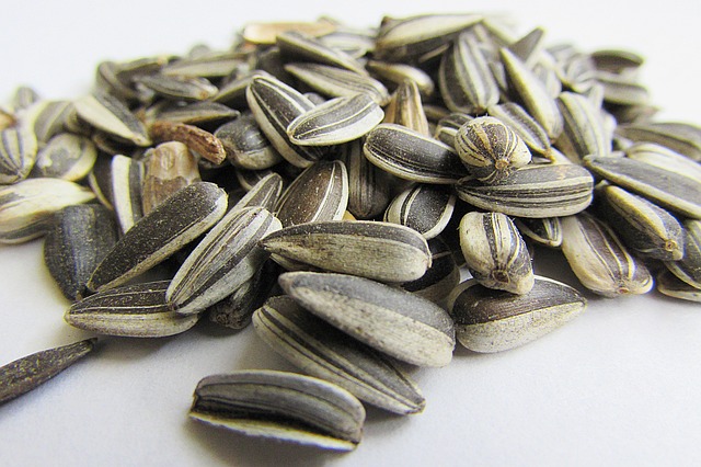 sunflower-seeds-537652_640
